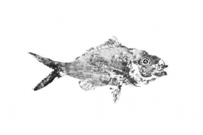 empreinte poisson gyotaku