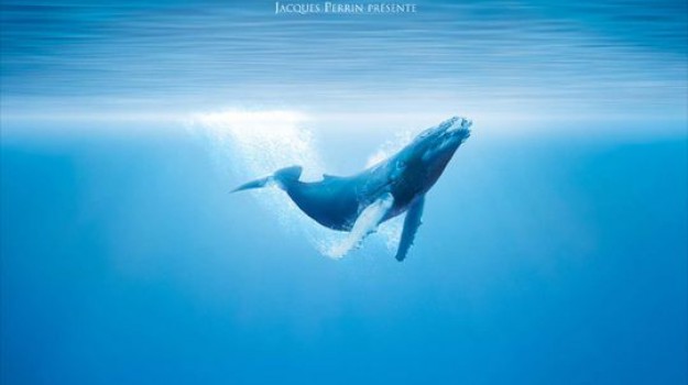 projection cinema film documentaire oceans