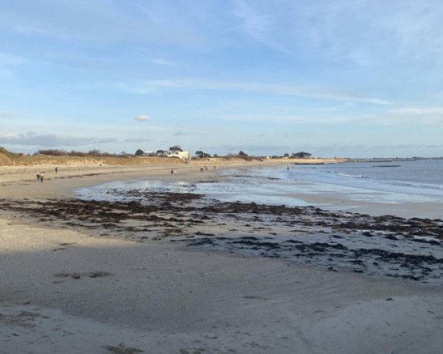 atelier scolaire milieu marin laisse de mer