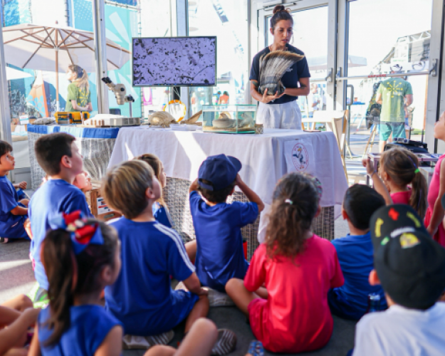 the ocean race atlantic scolaires